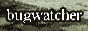 bugwatcher