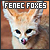 fennec foxes